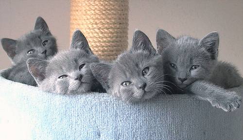 Familienfoto